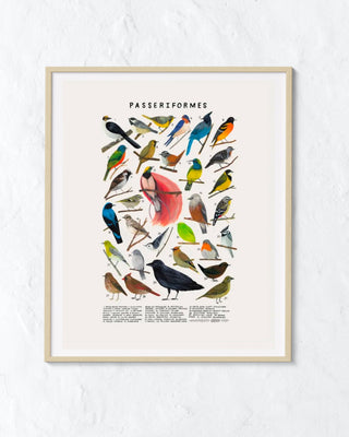 Creatures of the Order: Birds of Paradise Print