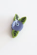 Blueberry