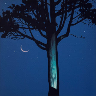 Conifer with Crescent Moon 2