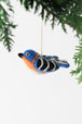 Eastern Blue Bird