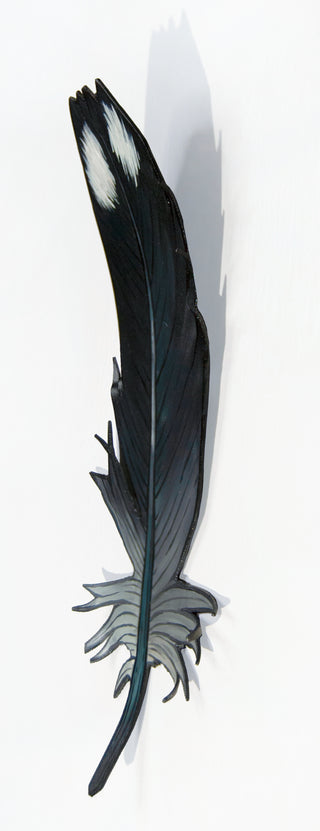 Loon Feather