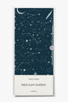 Moon + Stars