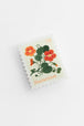 Nasturtium