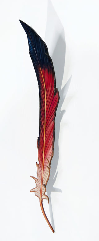 Northern Flicker Feather
