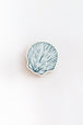 Seashell