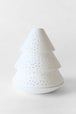 Small Fir Tree