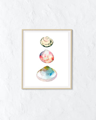 Clam Shells Art Print