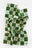 15th Century Illustrated Herbs