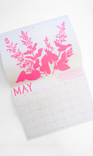 2027 Medicinal Plants Calendar