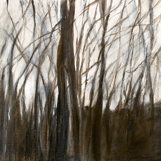 Where the Light Lives 4