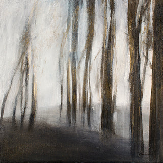 Where the Light Lives 5