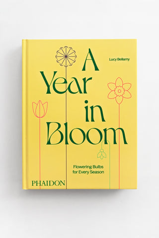 A Year in Bloom: Flowering Bulbs For Every Season