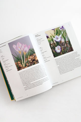 A Year in Bloom: Flowering Bulbs For Every Season