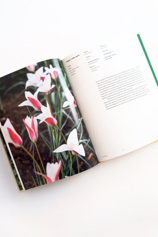 A Year in Bloom: Flowering Bulbs For Every Season