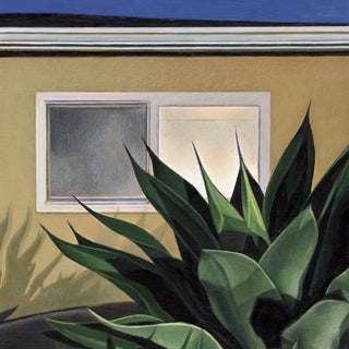 Agave at Dusk