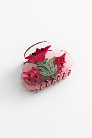 Amaryllis Claw