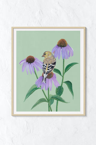 "American Goldfinch On Echinacea" Art Print