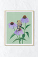American Goldfinch on Echinacea