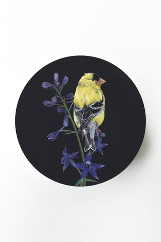 American Goldfinch & Larkspur