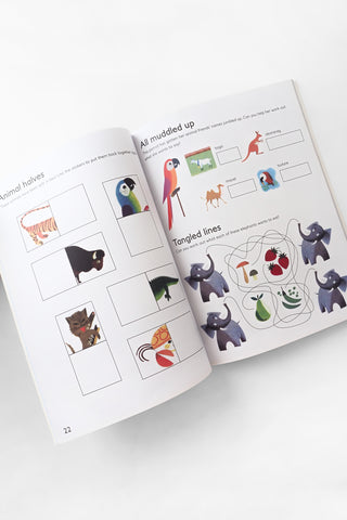 Animal Activity Book