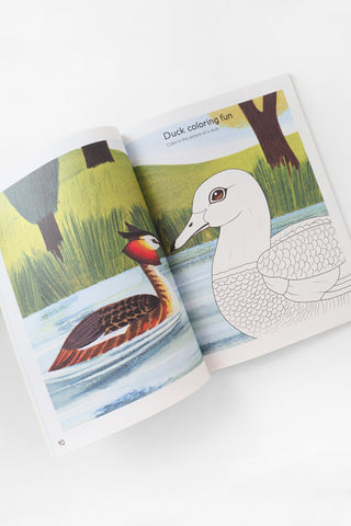 Animal Activity Book