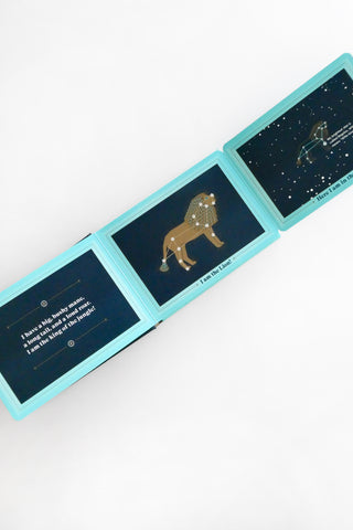 Animals in the Sky