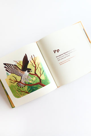 Animals of the National Parks: An Alphabet Book
