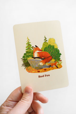 Animals of the National Parks Take a Hike