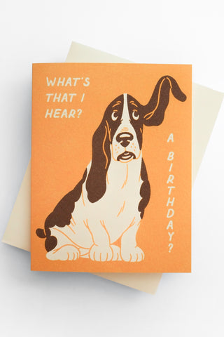 Basset Hound Birthday Greeting Card
