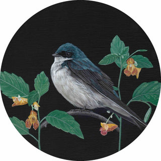 Tree Swallow & Jewelweed