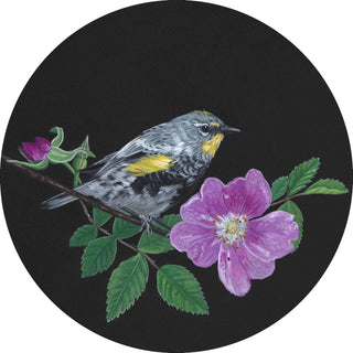 Yellow-Rumped Warbler & Rose