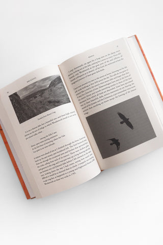 Bird School: A Beginner in the Wood