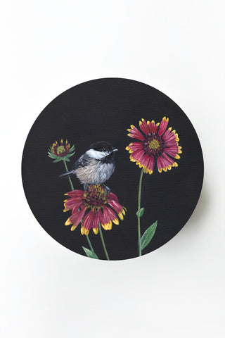Black-Capped Chickadee & Blanketflower