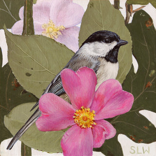 Black-capped Chickadee Hedge