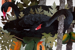 Black Swans in Papaya