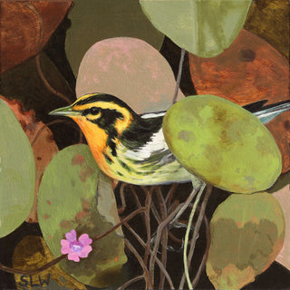 Blackburnian Warbler Hedge