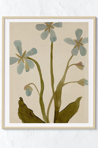 Blue Geranium Art Print
