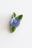 Blueberry