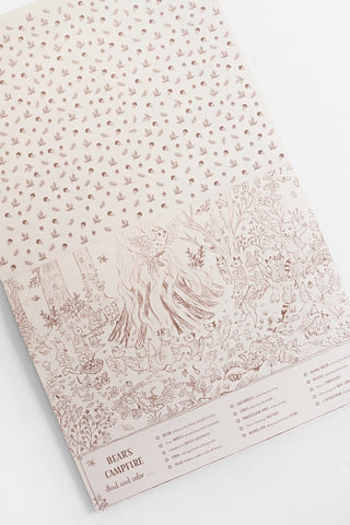 Brown Bear Wood: A Search-And-Find Coloring Book