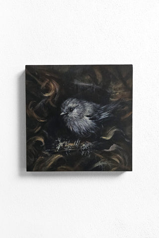 Bushtit