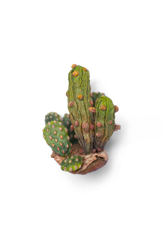 Cactus Island I