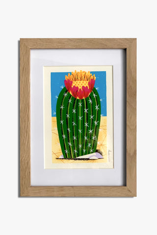 California Barrel Cactus