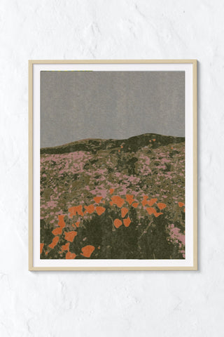 California Poppies Print
