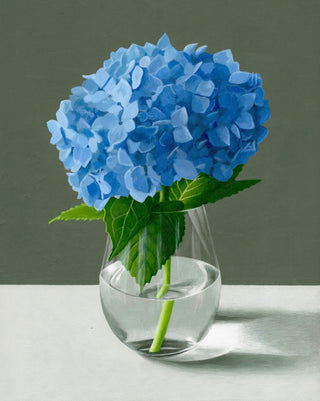 Blue Hydrangea