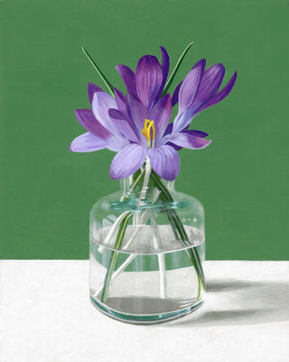 Crocus