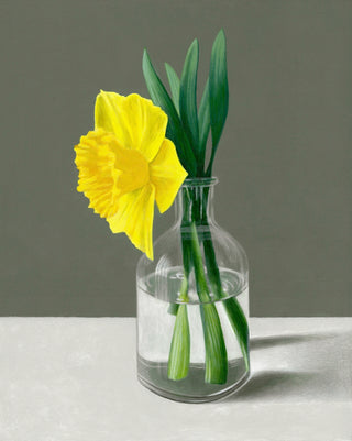 Daffodil