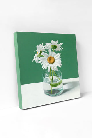 Daisies and Leaf