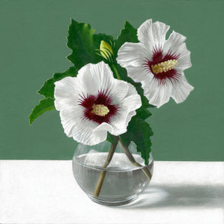 Hibiscus and Bud