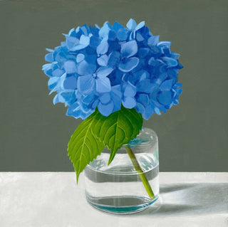 Small Hydrangea