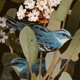 Cerulean Warbler Hedge